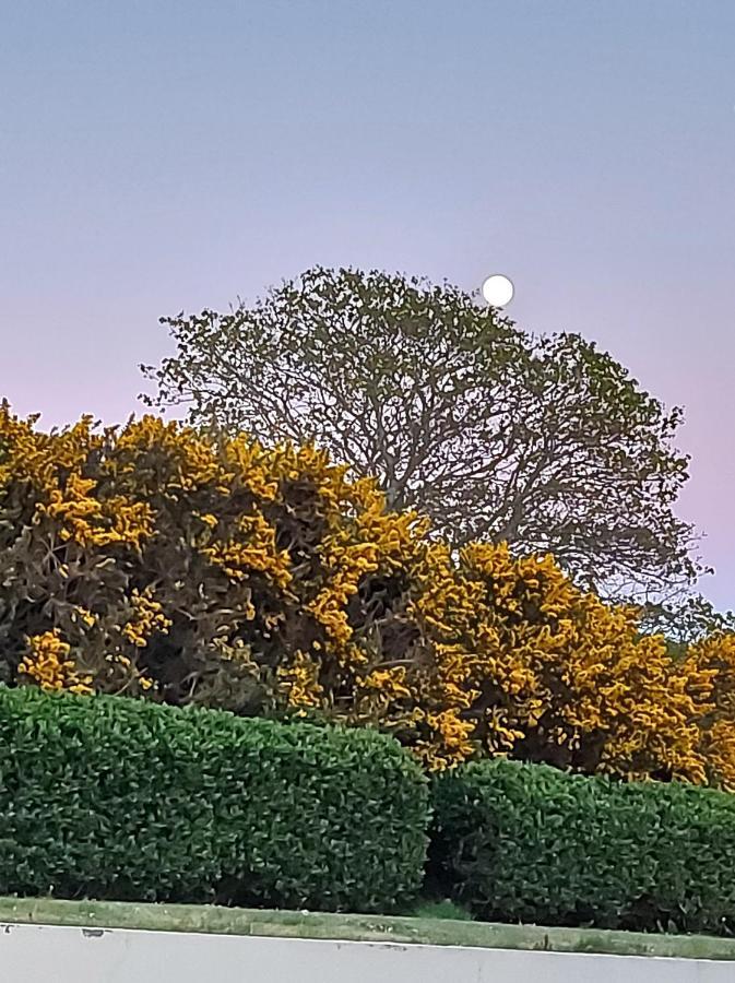 Foyle View Cabin Greencastle  Buitenkant foto
